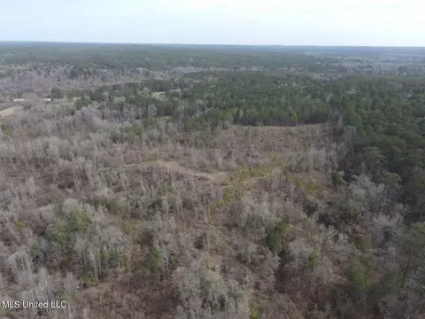 Homochitto Road, Gloster, MS 39638 photo 32