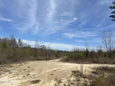 Homochitto Road, Gloster, MS 39638 photo 8
