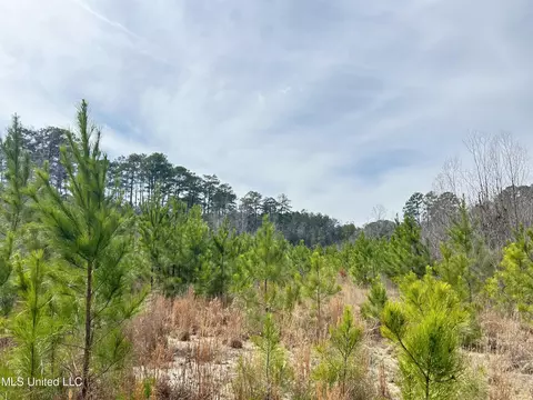 Homochitto Road, Gloster, MS 39638 photo 14