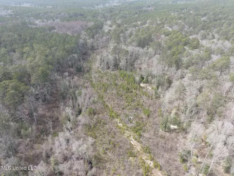 Homochitto Road, Gloster, MS 39638 photo 28