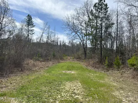 Homochitto Road, Gloster, MS 39638 photo 9