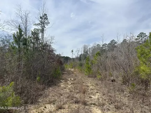 Homochitto Road, Gloster, MS 39638 photo 12