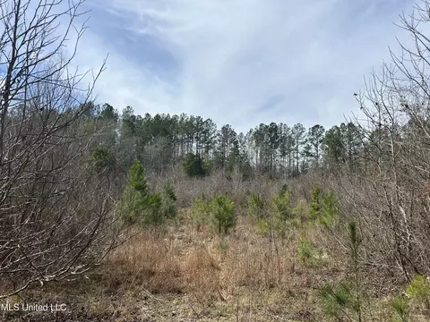 Homochitto Road, Gloster, MS 39638 photo 19