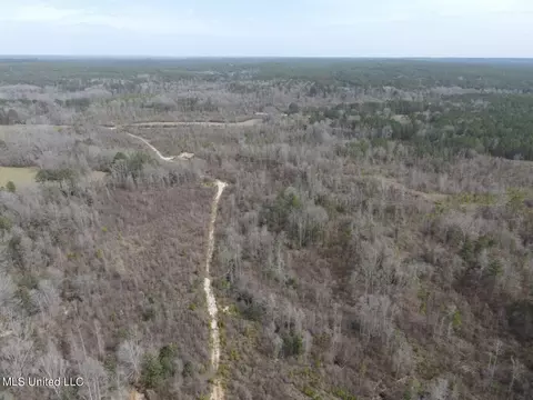 Homochitto Road, Gloster, MS 39638 photo 31