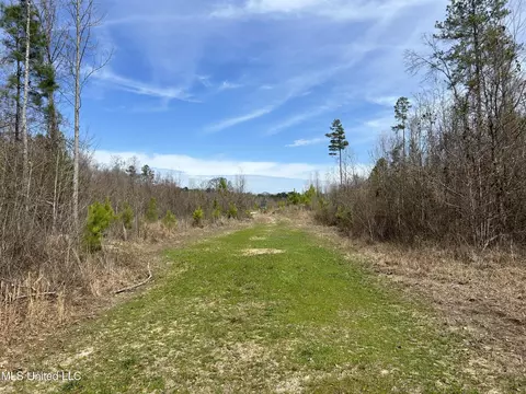 Homochitto Road, Gloster, MS 39638 photo 15