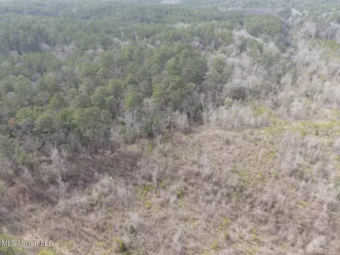 Homochitto Road, Gloster, MS 39638 photo 25