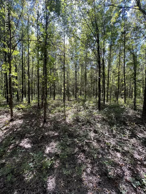 6283 Teasdale Rd, Charleston, MS 38921