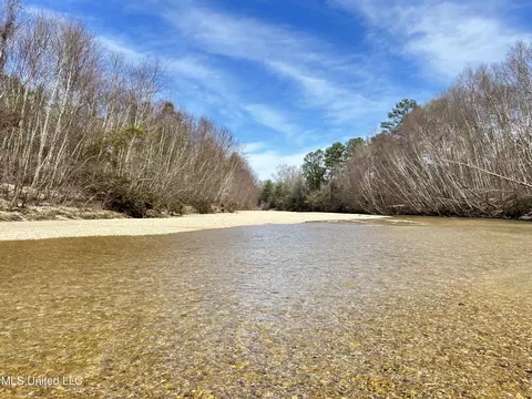 E Homochitto Road, Meadville, MS 39653