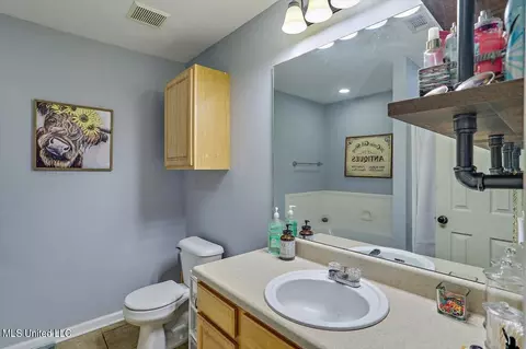 Bath - 502 Ridgeway Dr, Brandon, MS 39047 photo 1 of 2