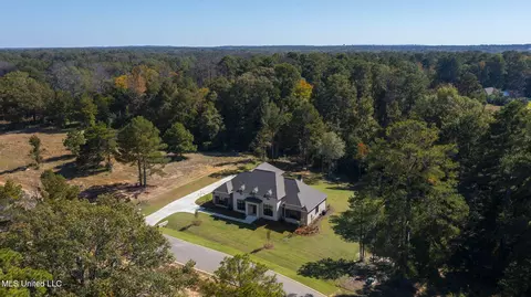 View/Area - 128 Leslie Dr, Flowood, MS 39232 photo 1 of 3