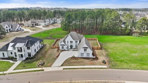 Exterior - 217 Reunion Dr, Madison, MS 39110 photo 15 of 16