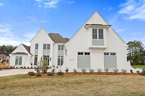 Exterior - 217 Reunion Dr, Madison, MS 39110 photo 4 of 16