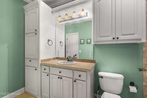 Bath - 210 Legacy Dr, Brandon, MS 39042 photo 10 of 11