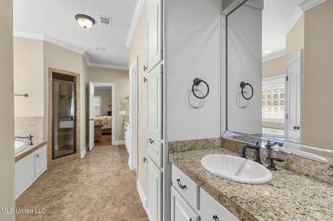 Bath - 210 Legacy Dr, Brandon, MS 39042 photo 6 of 11