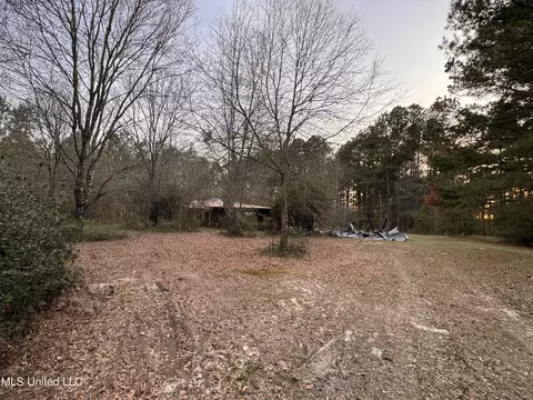 17 Melni Smith Rd, Lumberton, MS 39455