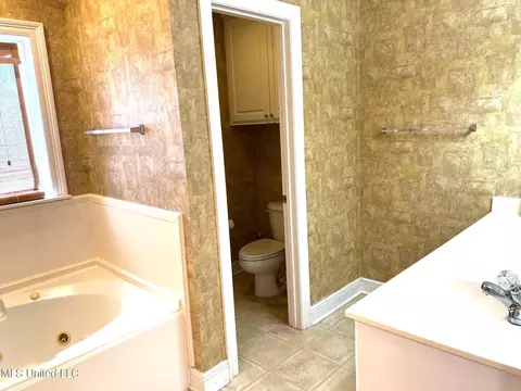 Bath - 610 E Abbey Pl, Brandon, MS 39047 photo 4 of 4