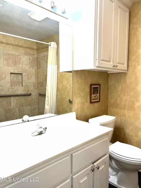 Bath - 610 E Abbey Pl, Brandon, MS 39047 photo 1 of 4