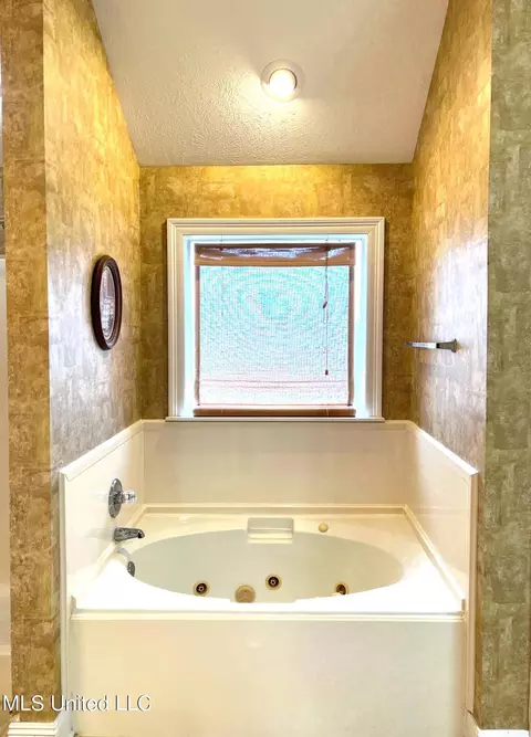 Bath - 610 E Abbey Pl, Brandon, MS 39047 photo 3 of 4