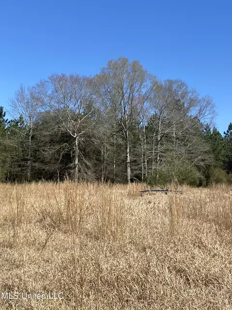 9204 Jim Ramsay Rd, Vancleave, MS 39565