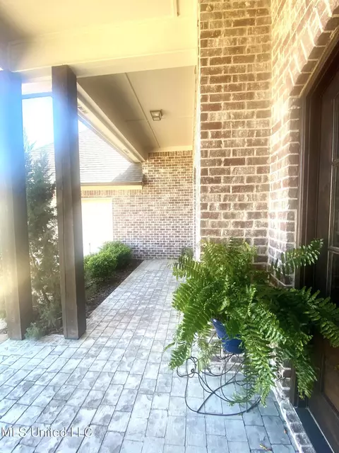 Exterior - 254 Bellamy Ct, Flowood, MS 39232 photo 7 of 24