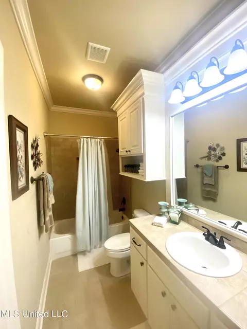 Bath - 254 Bellamy Ct, Flowood, MS 39232 photo 7 of 7