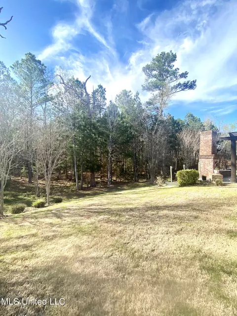 Exterior - 254 Bellamy Ct, Flowood, MS 39232 photo 20 of 24