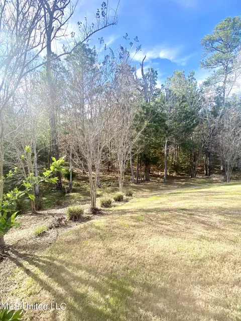 Exterior - 254 Bellamy Ct, Flowood, MS 39232 photo 17 of 24