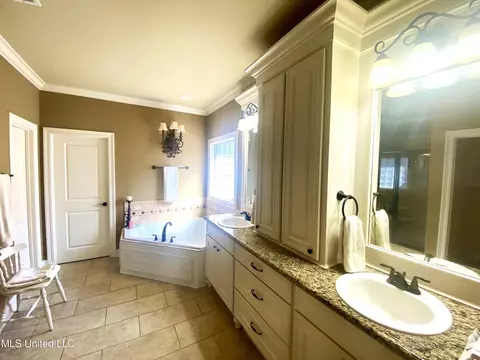 Bath - 254 Bellamy Ct, Flowood, MS 39232 photo 1 of 7