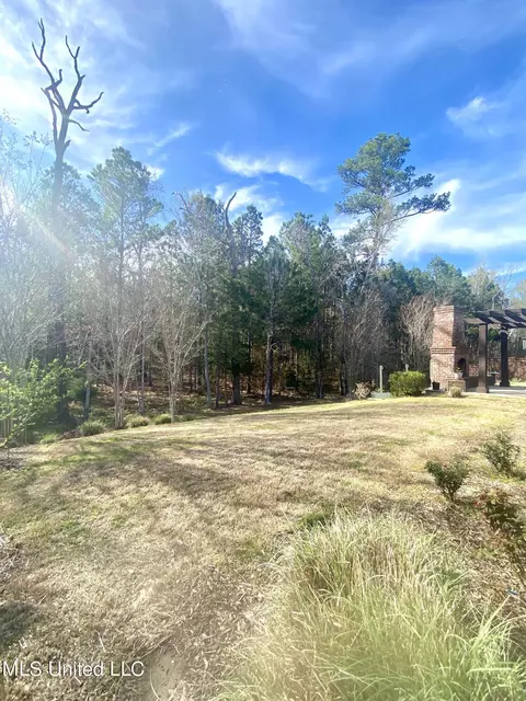 Exterior - 254 Bellamy Ct, Flowood, MS 39232 photo 16 of 24