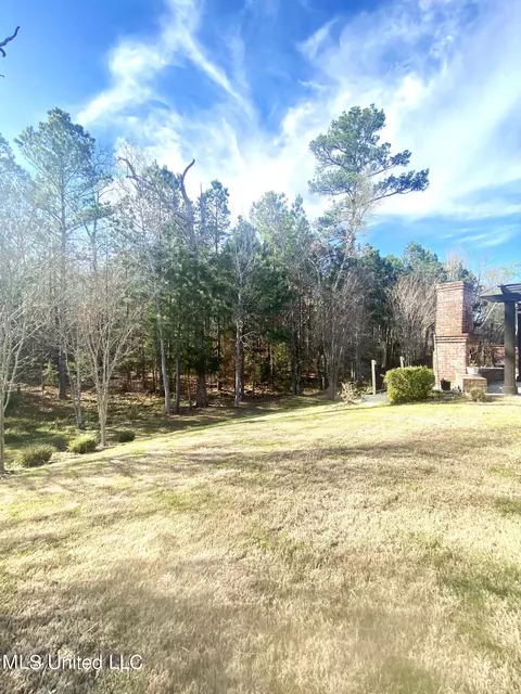 Exterior - 254 Bellamy Ct, Flowood, MS 39232 photo 21 of 24