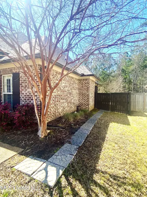 Exterior - 254 Bellamy Ct, Flowood, MS 39232 photo 9 of 24