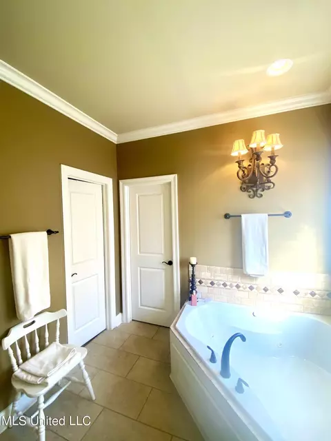 Bath - 254 Bellamy Ct, Flowood, MS 39232 photo 3 of 7