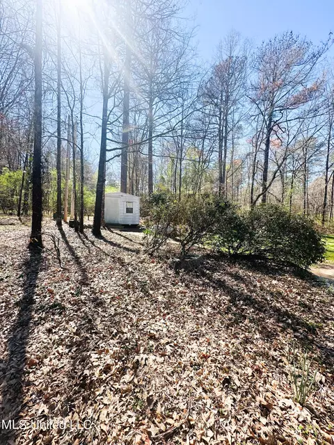 View/Area - 143 Timber Green Ln, Canton, MS 39046 photo 4 of 6