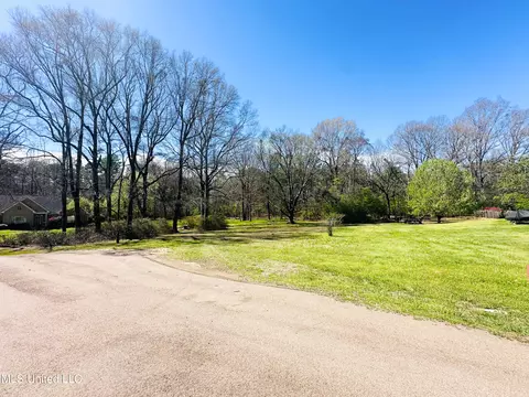 View/Area - 143 Timber Green Ln, Canton, MS 39046 photo 2 of 6