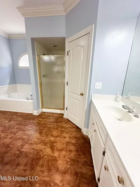 Bath - 143 Timber Green Ln, Canton, MS 39046 photo 2 of 4