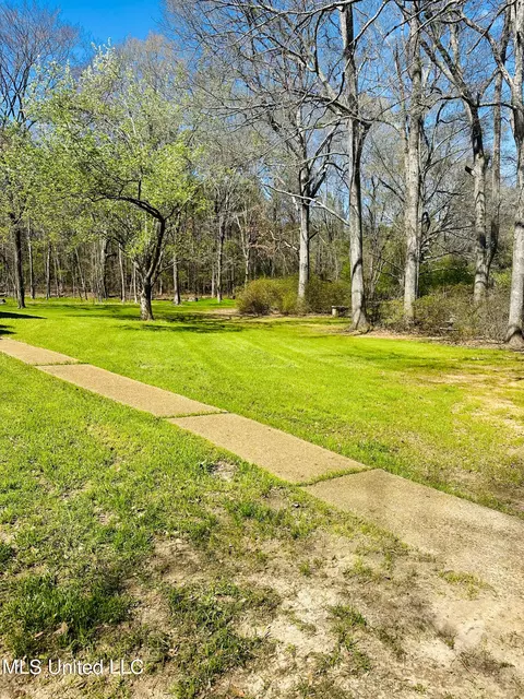 View/Area - 143 Timber Green Ln, Canton, MS 39046 photo 6 of 6