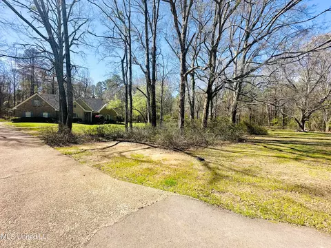 View/Area - 143 Timber Green Ln, Canton, MS 39046 photo 5 of 6