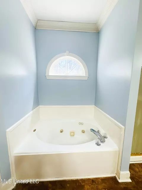 Bath - 143 Timber Green Ln, Canton, MS 39046 photo 1 of 4