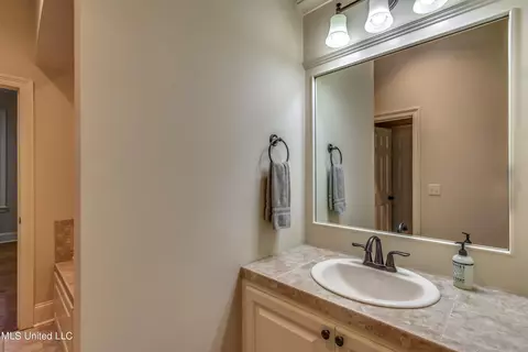 Bath - 138 Grayhawk Dr, Madison, MS 39110 photo 1 of 9