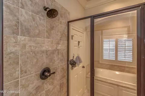 Bath - 138 Grayhawk Dr, Madison, MS 39110 photo 5 of 9