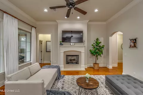 Living - 138 Grayhawk Dr, Madison, MS 39110 photo 3 of 10