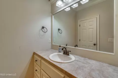 Bath - 138 Grayhawk Dr, Madison, MS 39110 photo 9 of 9