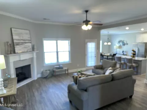 Living - 564 Andys Way, Hernando, MS 38632 photo 3 of 6