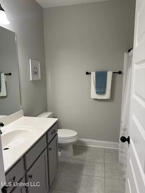 Bath - 564 Andys Way, Hernando, MS 38632 photo 1 of 5