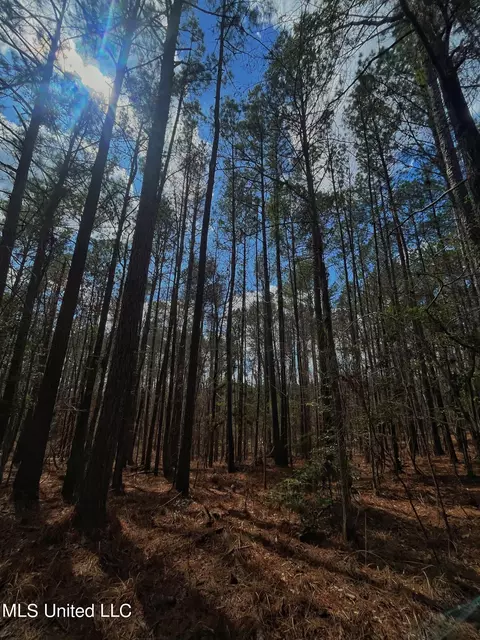 Norman Road, Hazlehurst, MS 39083