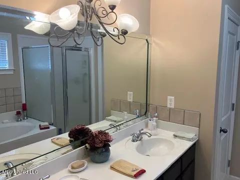 Bath - 1263 Heritage Dr, Hernando, MS 38632 photo 2 of 5