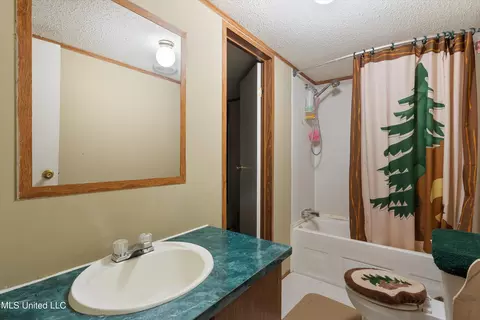 Bath - 5796 Sycamore Dr, Hernando, MS 38632 photo 5 of 5