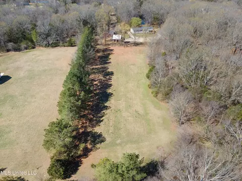View/Area - 5796 Sycamore Dr, Hernando, MS 38632 photo 9 of 11