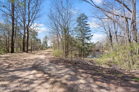 Exterior - 5796 Sycamore Dr, Hernando, MS 38632 photo 8 of 13