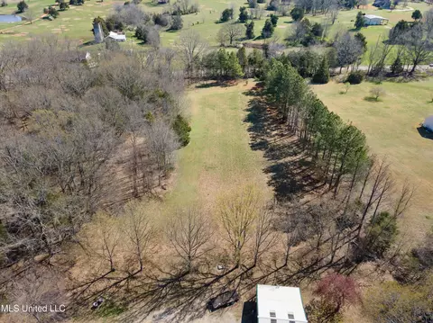 View/Area - 5796 Sycamore Dr, Hernando, MS 38632 photo 8 of 11